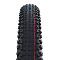 SCHWALBE Külső gumi RICK XC (62-622) 29x2.40 Evolution 67EPI 760g Transparent TLR Speed NEW25