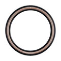 SCHWALBE Külső gumi RICK XC (62-622) 29x2.40 Evolution 67EPI 760g Transparent TLR Speed NEW25