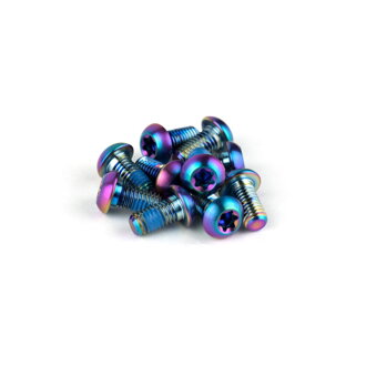 SRAM Brake Disc Mounting Bolts - Titanium T25, Rainbow Bolts (Qty 12)
